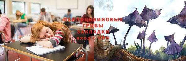 гидра Нефтегорск