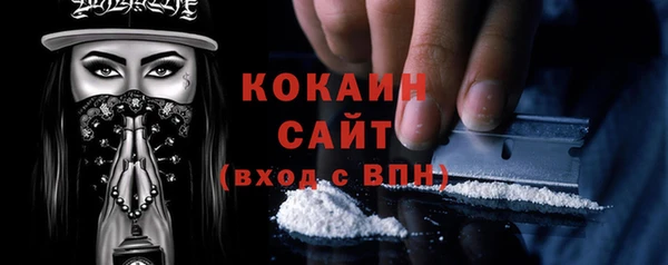 мет Новозыбков