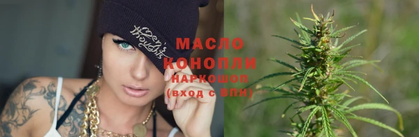 мет Новозыбков