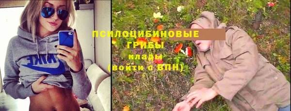 мет Новозыбков