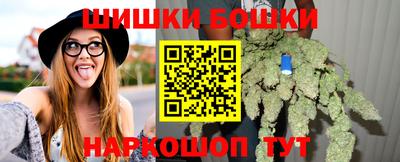 хмурый Бийск