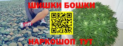 хмурый Бийск