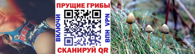 наркота  kraken зеркало  Галлюциногенные грибы GOLDEN TEACHER  Елец 