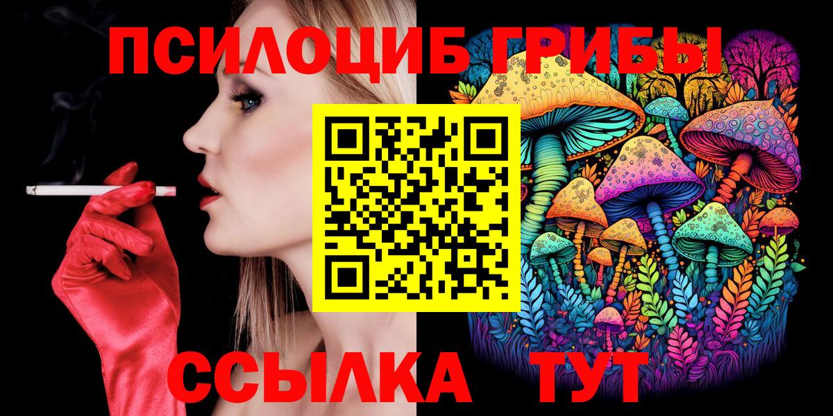 купить наркотики цена  Елец  Псилоцибиновые грибы Psilocybine cubensis 