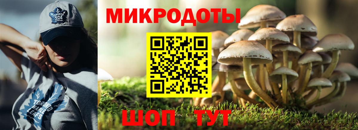 Псилоцибиновые грибы Cubensis  Вход с VPN  продажа наркотиков  Елец 